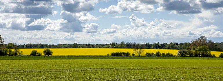 Viborg tilbyder landmænd gratis øko-omlægningstjek