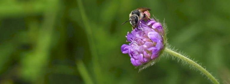 Slagelse fandt bidræber-pesticid og forbyder udledning fra firma