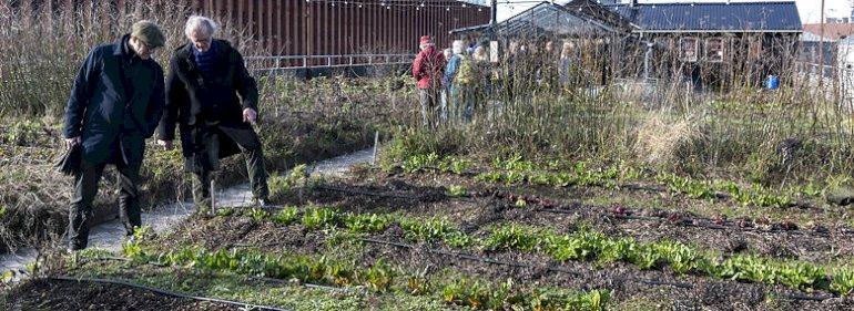 Borgmester har redningsplan for verdenskendt tagfarm