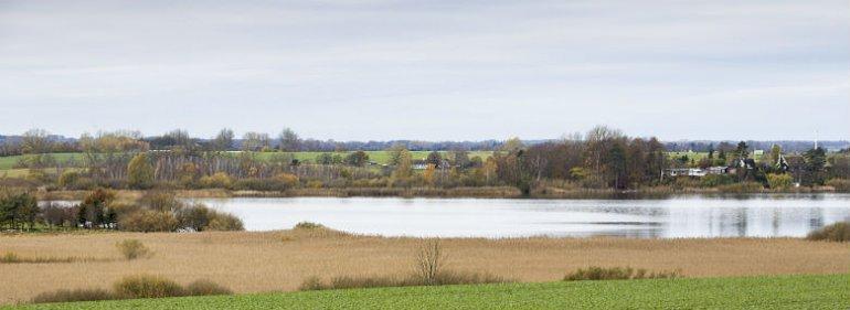 Roskilde skaber ny natur på lavbundsjord med nyt åløb