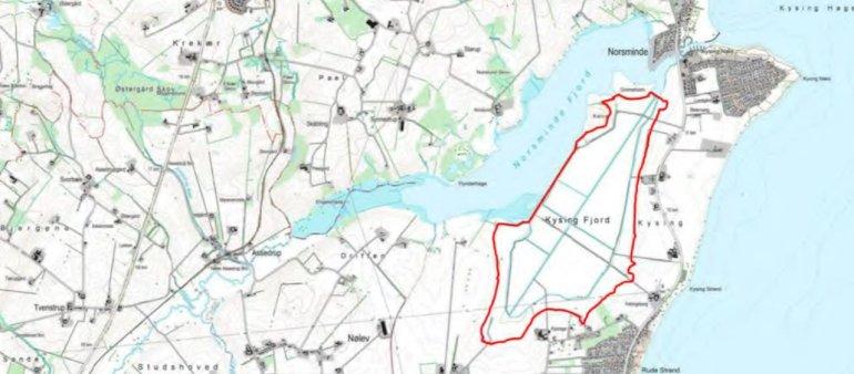 Storstilet plan om genskabt fjord ved Odder skrottet - lodsejerne er imod