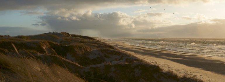 Godt en mia. kr. over fem år til at sandfodre jysk vestkyst