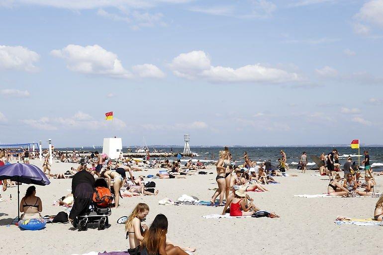 Ti mia. liter urenset spildevand udledt i Øresund