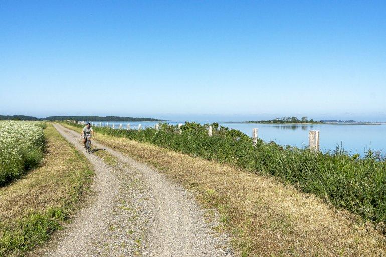 Lollandsk udviklingsprojekt henter kommunaldirektør til at stå i spidsen