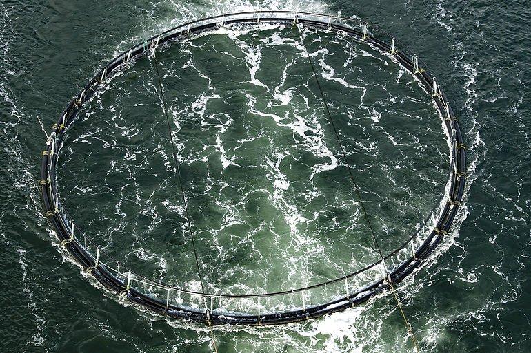 Minister vil samle tilsyn med omstridte fiskefarme hos staten