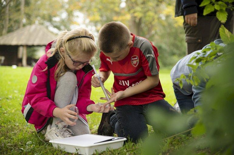 De yngste i skolen ud i naturen som mikroforskere