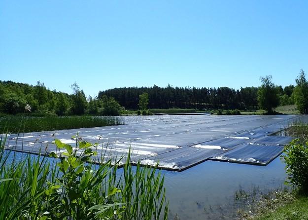 Populær fiskesø dækket af sort plast