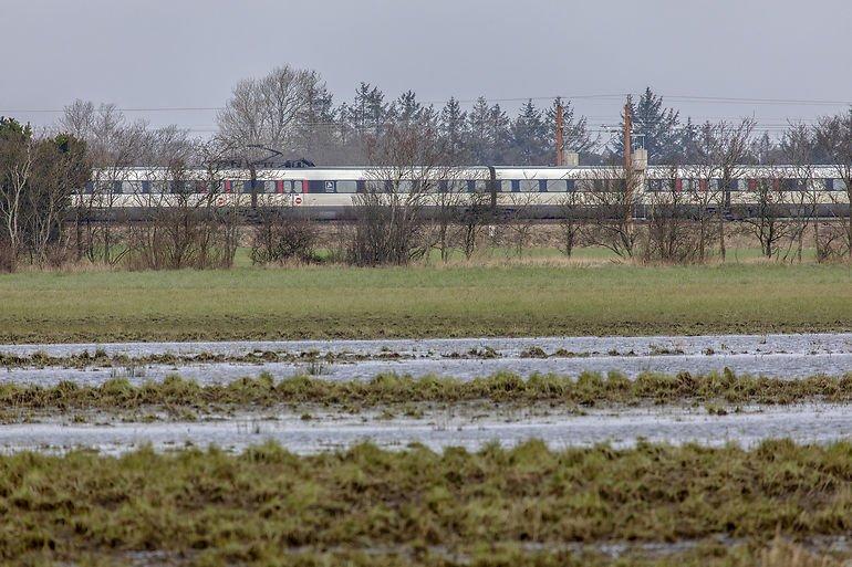 Banedanmark og transportminister vil hjælpe den vilde natur