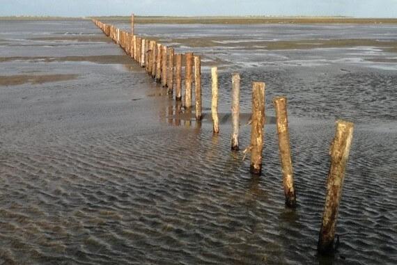 Bilerne skal væk fra en fjerdedel af Rømø Strand
