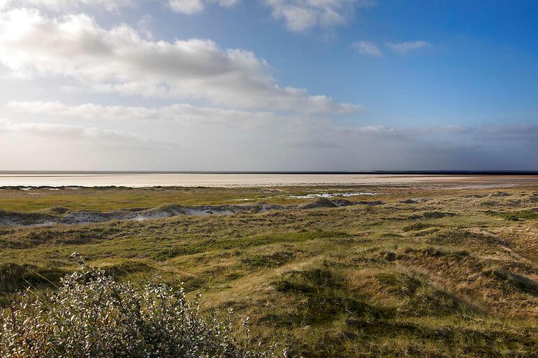 Forskere: Fanø har Danmarks bedste natur