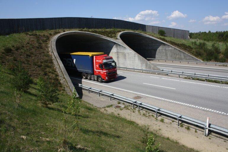Jyske faunapassager under lup