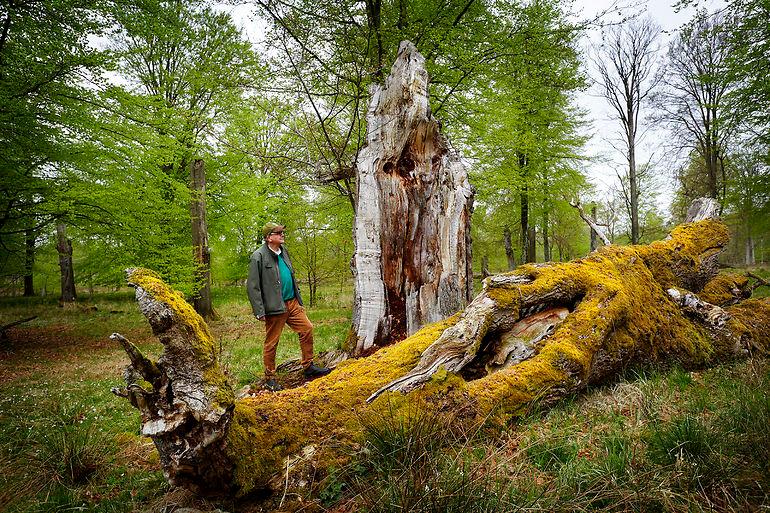 Flere mulige naturnationalparker er til debat og det går ikke stille af