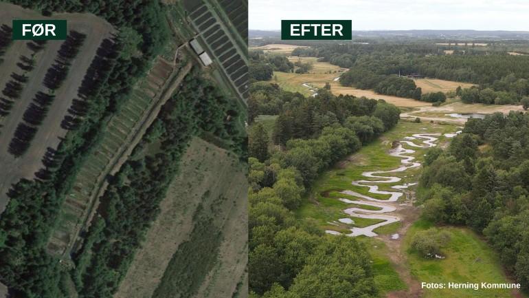 Nedlagt dambrug blev til genskabt ådal