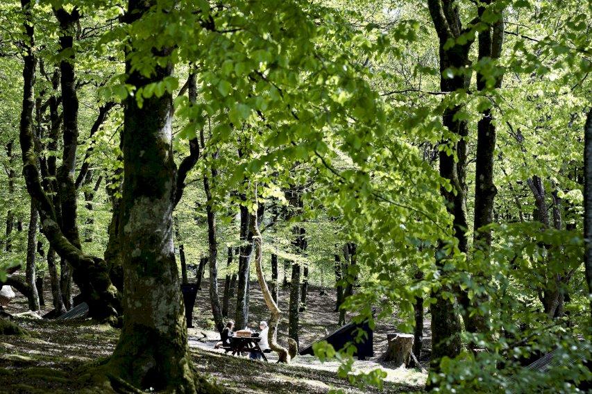 Danmark er meget langt fra at beskytte den vilde natur