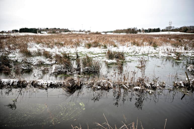 Flere vil skifte landbrug ud med mose og skov