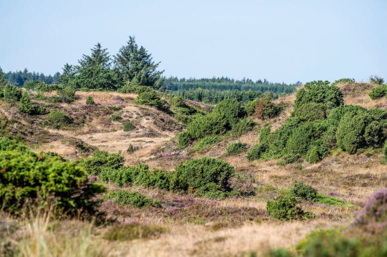 Tre nye naturnationalparker er på vej i høring