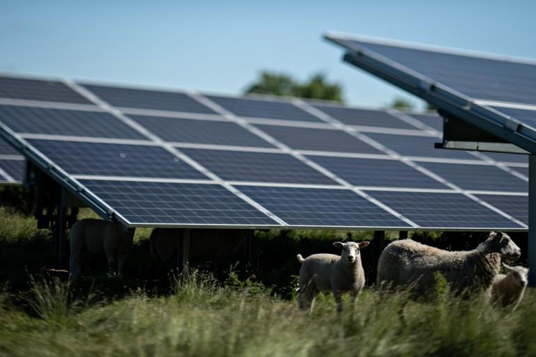 Vindmøller i forurenede områder, solenergi på kommunale bygninger og får under solcelleparker