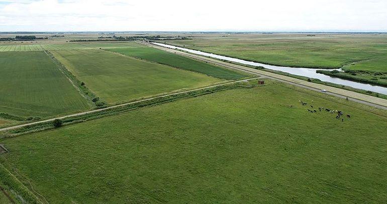 Multifunktionel jordfordeling har virket: Landbrug bliver til natur i Tøndermarsken