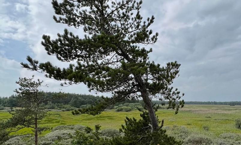 Naturnationalpark Tranum justeret lidt