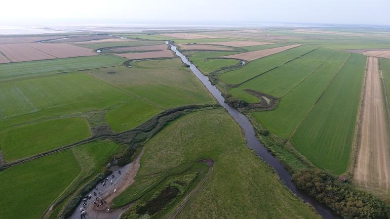 Esbjerg på vej med sin største naturgenopretning 