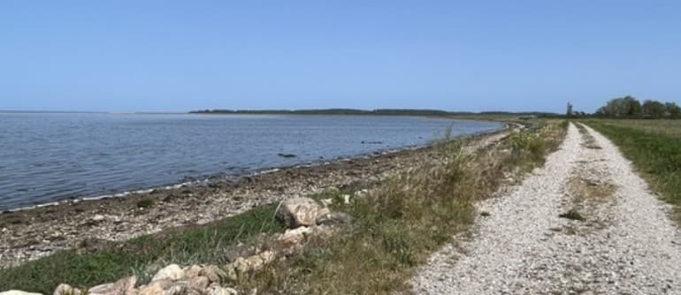 De første 65 ud af 100 lodsejere er gået med i Nordfyns naturpark-projekt