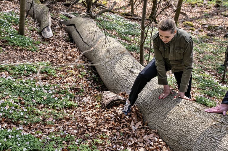 Presset natur venter på ny ilt fra naturnationalparker