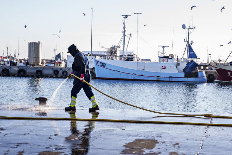 Videoovervågning og trawlfrizone skal redde udsat hav