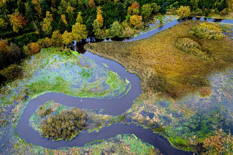 Hensynet til naturen må vige lidt - nu skal Gudenå oprenses i bund