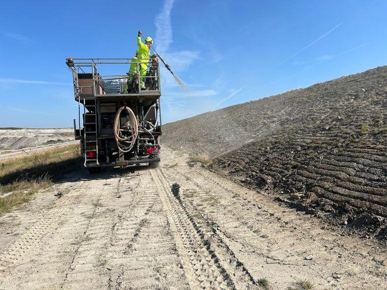 Femern-projektet skaber også helt ny natur