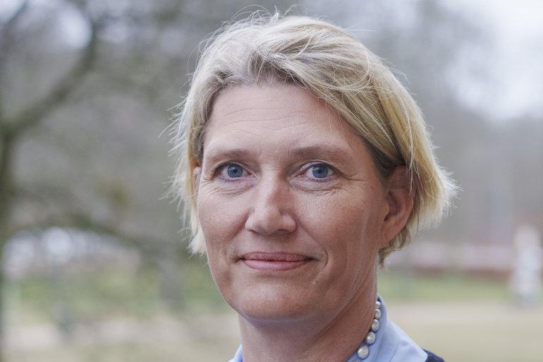 Vincentz lufter ide om konkurs af forsyningsselskab 