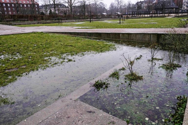 Forsyningsselskaber og kommuner skal sammen håndtere stigende grundvand