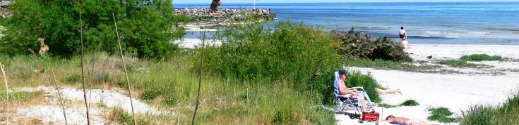 Natura 2000 tager alle pengene