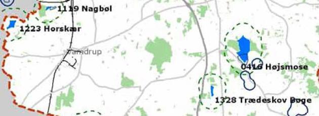 Kolding udelukker sig vej frem til vindenergi