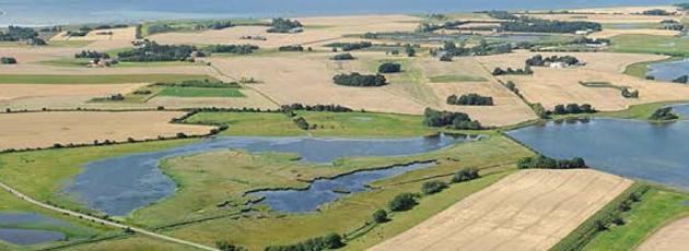 Bødetrussel og ændret plan får DF i Slagelse til at lade dominobrikken blive stående