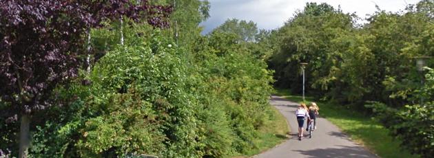 Greve vil selskabsgøre Park & Vej