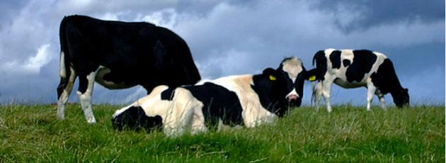 Så barslede Natur- og Landbrugskommissionen
