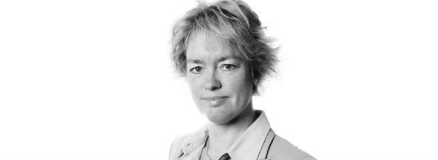 Fra lokaldemokrati til vejrudsigter