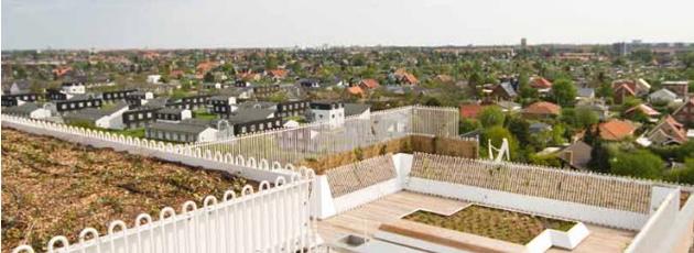 Klimatilpasningsplan udløser designpris