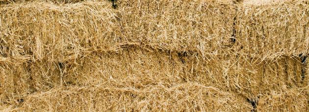 Halm i stedet for naturgas en win-win