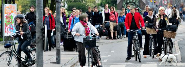 Massiv stigning i cykeltrafikken i København