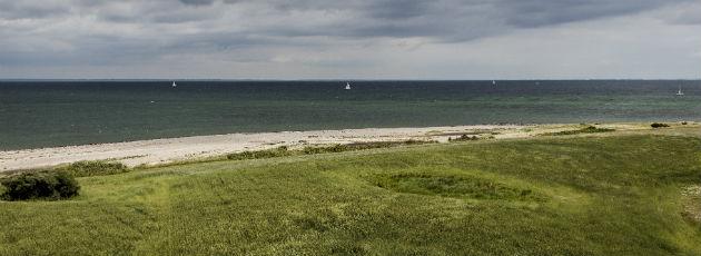 Kommuner vil slække på natur- og miljølove