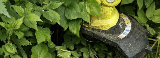Buskryddere, skovle og koste til borgerne
