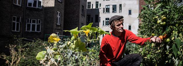 København overdrager grøn stafet