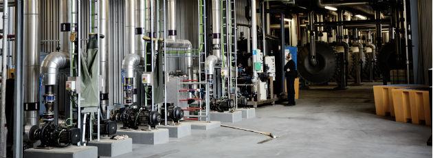 Biogas vokser mere end ventet i Danmark