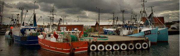 Seks kommuner til kamp for Østersø-fiskeri 