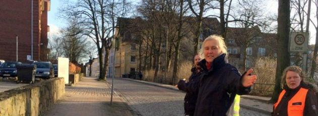 Sønderborg-politikere lærer om by-træer i Flensborg