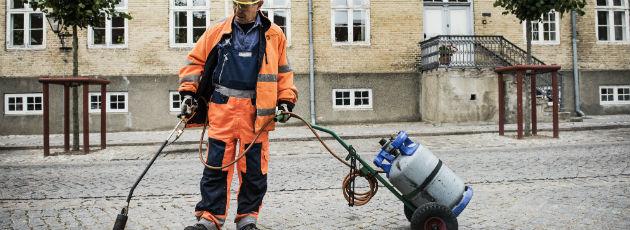 “Skal vi ud med ukrudtsbrænderen otte gange eller pesticiderne én gang?