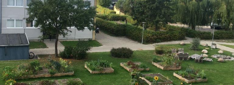 Albertslund laver strategi for urban farming 