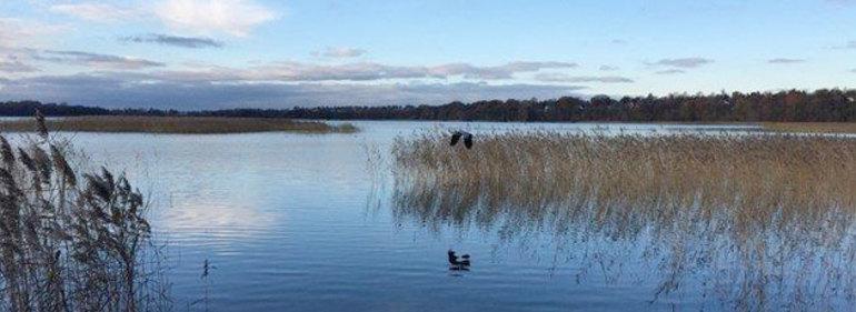 Den årlige ballade om vandmiljø og natur