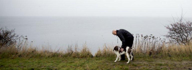 Fredning af Stevns Klint omsider i fredelig byrådsbehandling